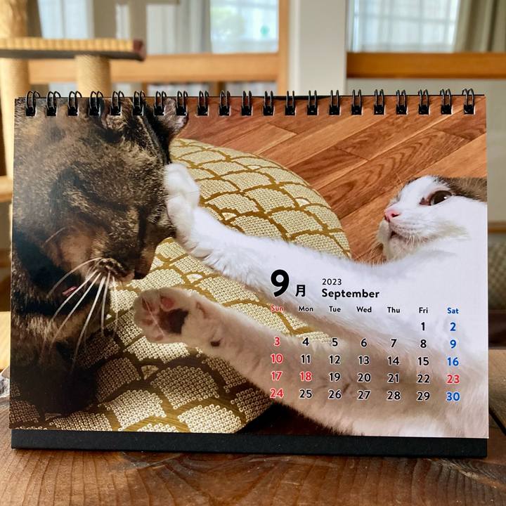 95a24574 66f7 44ce b64c 49e5c8801049 1695380594909