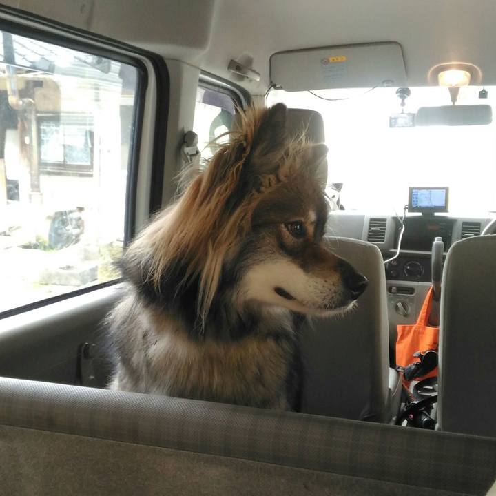 95a26496 d366 464a a5e4 33b302d4230c 1553676509257