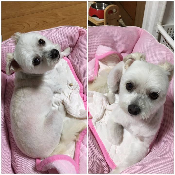 95a2e1a0 44be 46ec b0e3 2fe9001efa5f 1558935270841