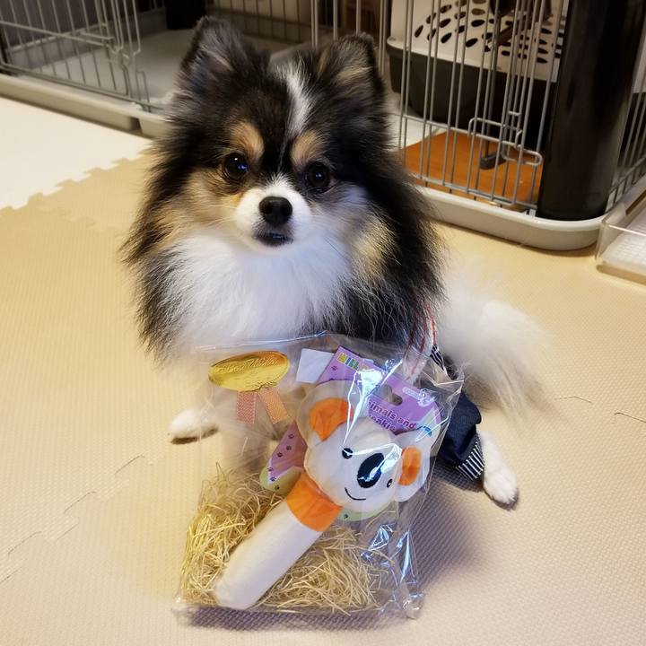 95a2eb0b a5ee 4ea9 ad30 12f1c0cb21b0 1535893290864