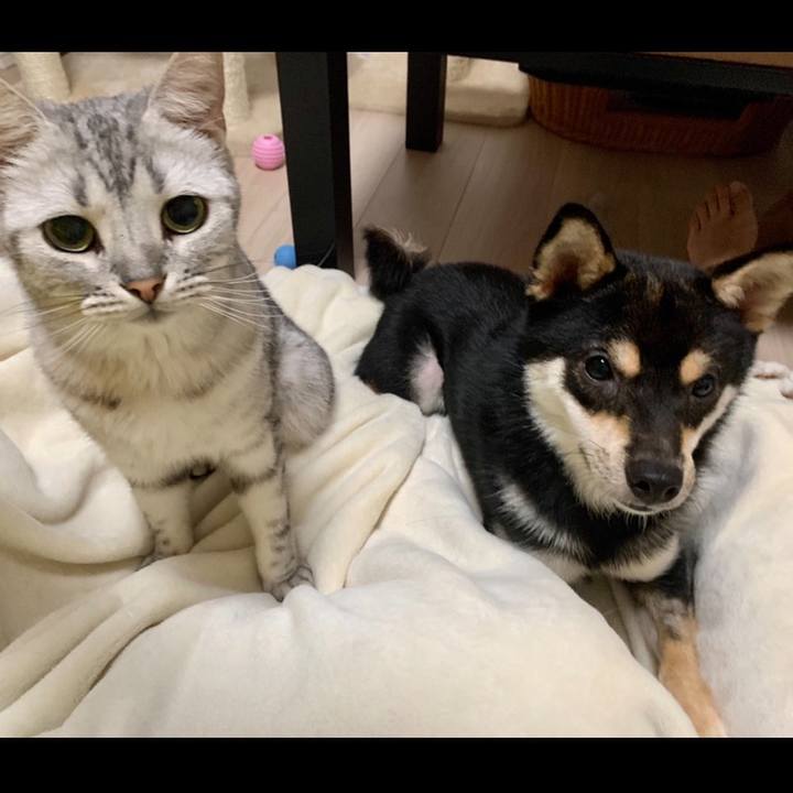 95a3102b 9082 4adb b694 2b48a95017a4 1593311532170