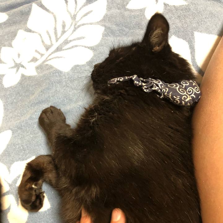 95a338e7 0b30 499f aec9 8f0a5d56d0a9 1582322695932