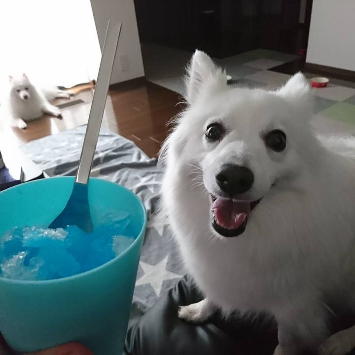 95a3a149 cc27 4cd6 8202 11351fd88b0a 1591168633493