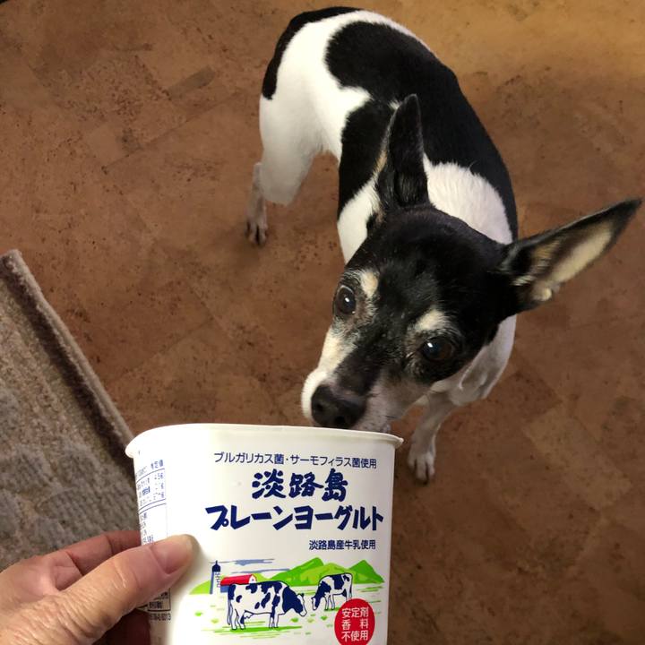 95a3e234 b4fe 4092 8f13 3f57aeb172b1 1543410742648