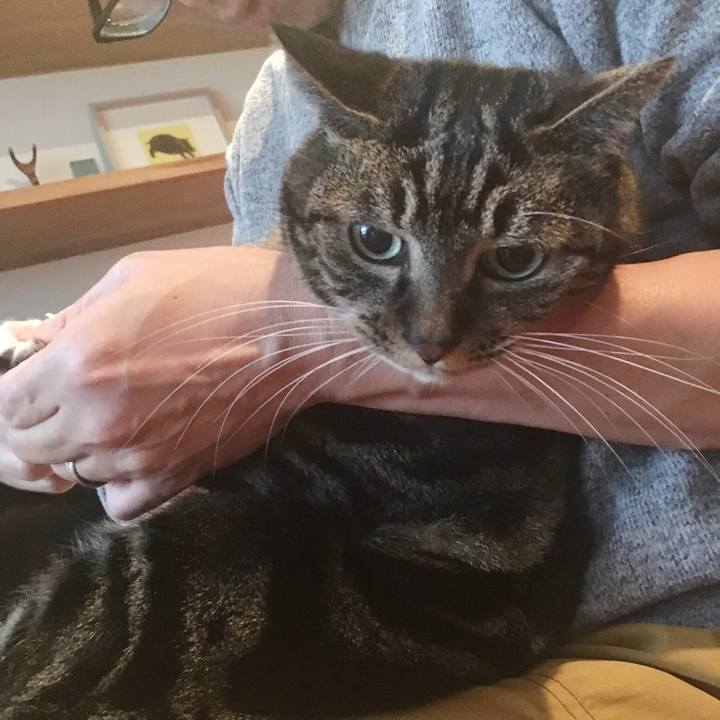 95a3e7c0 3170 4393 9ae7 0b009ad9986e 1578525537071