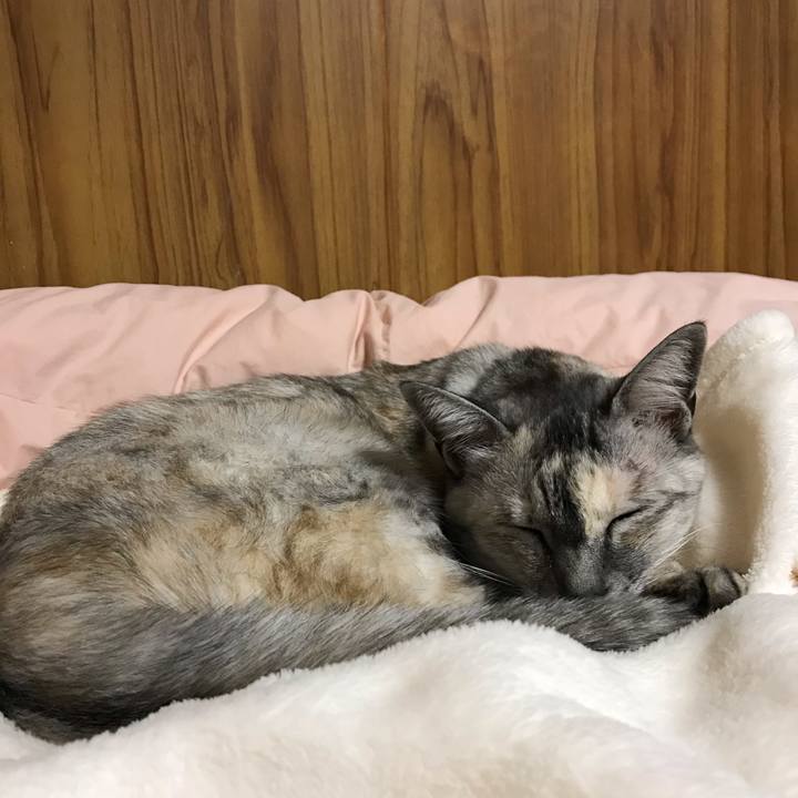 95a3ef19 803f 4464 9661 2461ac35be22 1538993867065