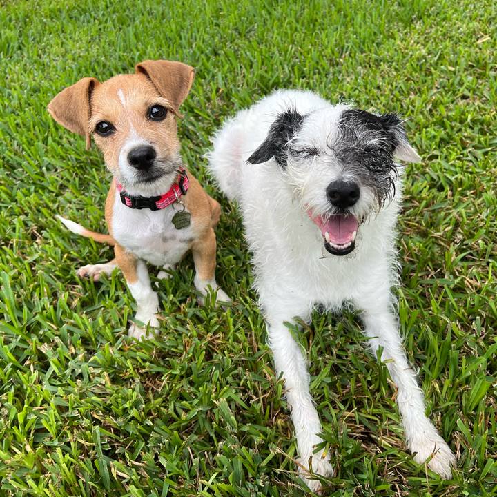 95a3f58d 243d 4b7b bd16 111908d07e4e 1662501298907