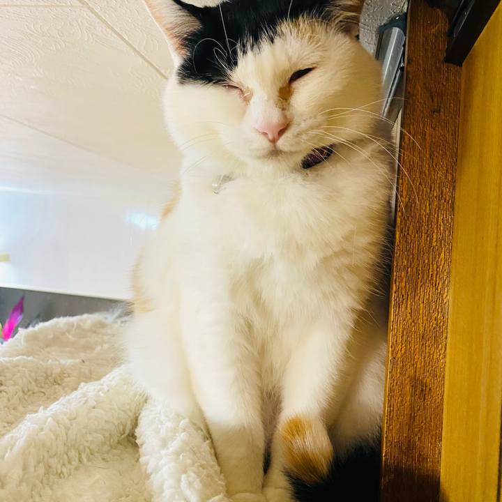 95a45275 ce4c 4943 907a 6b6c09f0fbb6 1679397780564