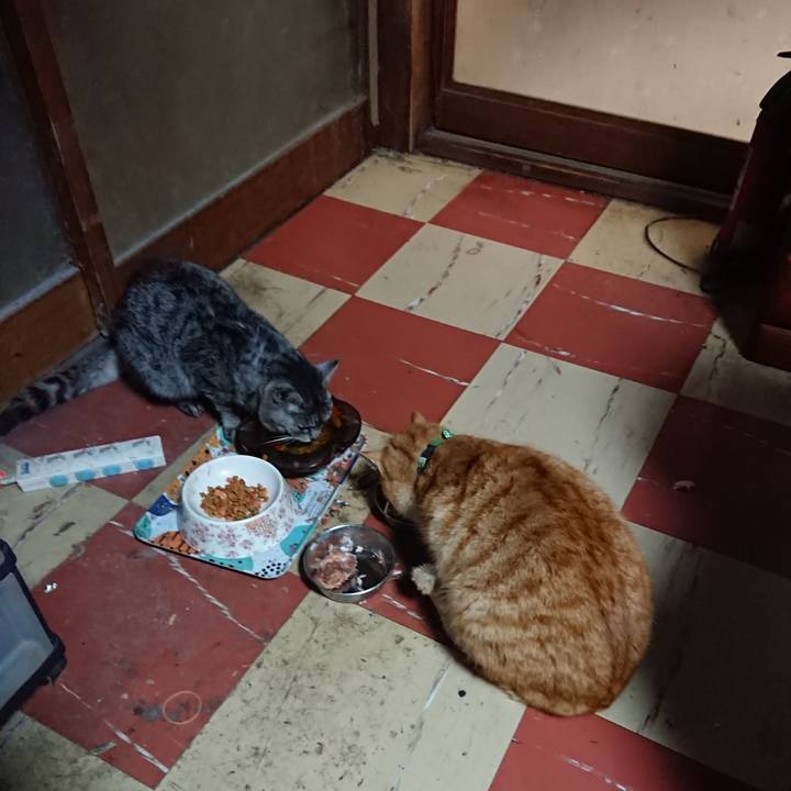 95a45a15 9046 4394 9ad7 bb3f263d6460 1583312058032