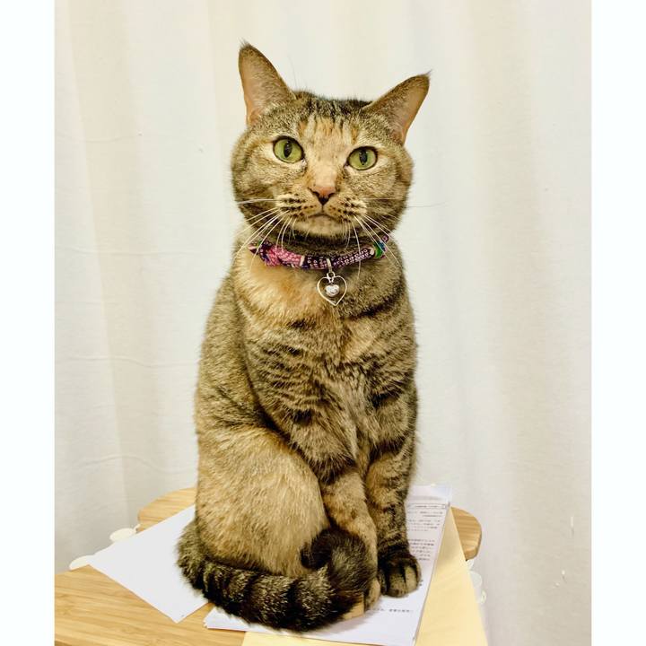 95a56edb 6273 483a 8800 516f908dda54 1629331401043