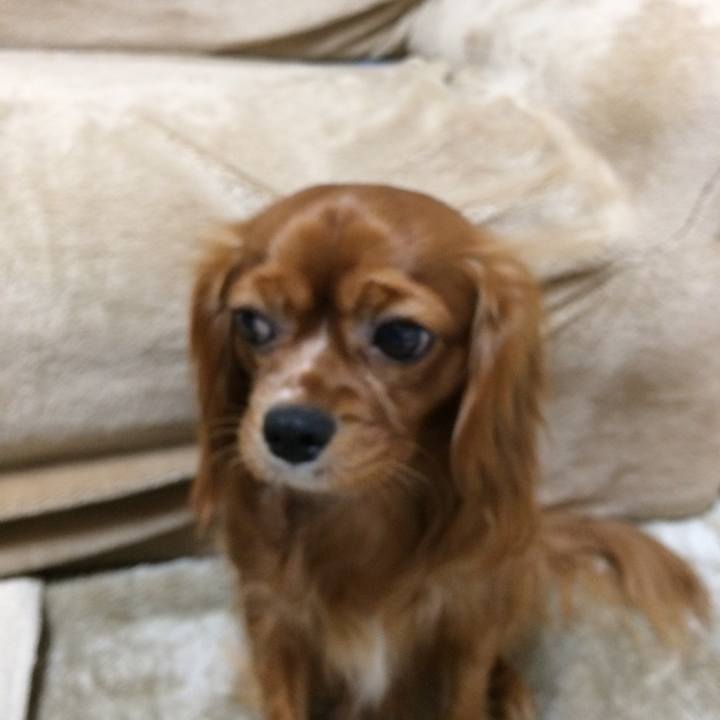 95a57da9 58a3 4a07 97c7 06bbb3450062 1515240080191