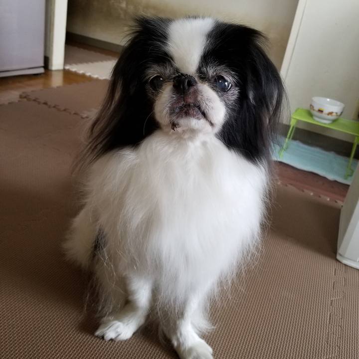 95a599e1 4f79 4731 9b10 f0e30ac18c61 1541305736132