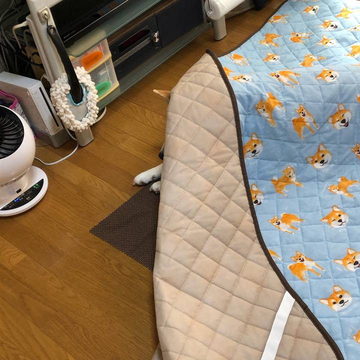 95a5de2f 2902 409d 8f46 2be544dfbe14 1591086265633