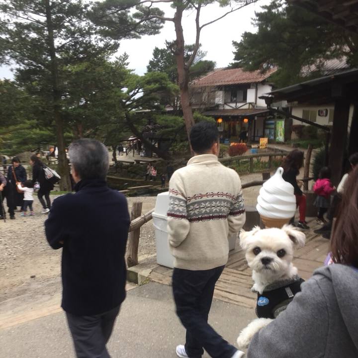 95a5e7fb 66af 45be 8b6a 3753f37da0ef 1510227397727