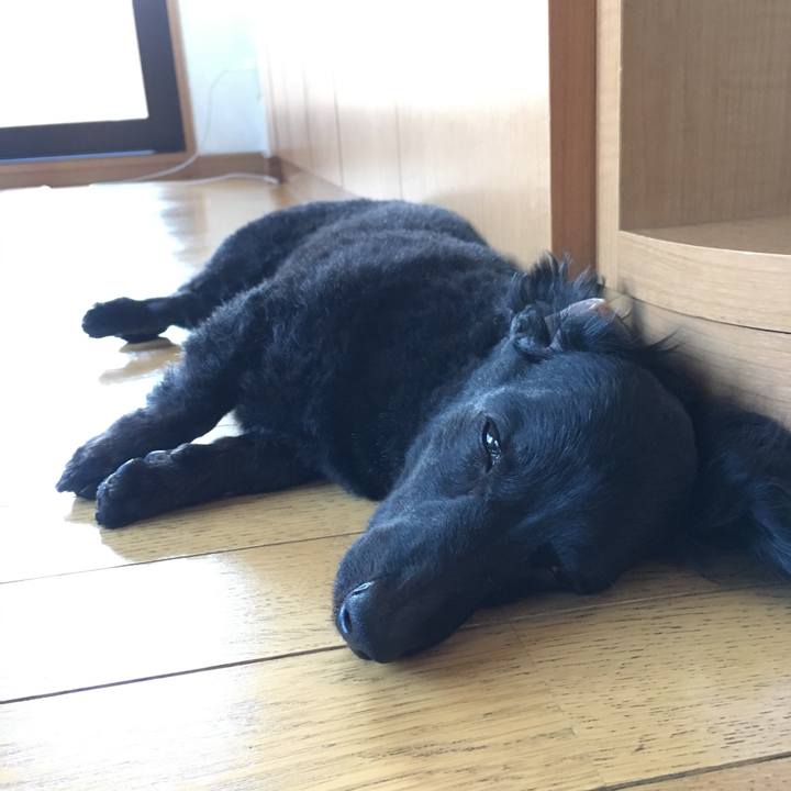 95a5ee3e 4866 47f2 b5e7 76a582eabb48 1691877872362