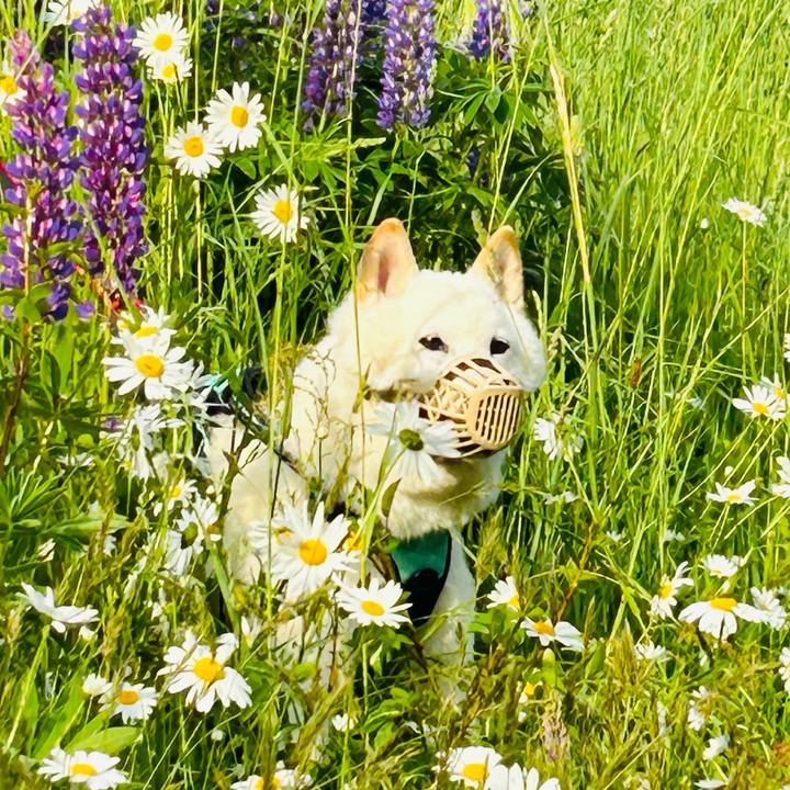 95a61241 395b 4c14 9a96 98ff51a34e0c 1686518607679