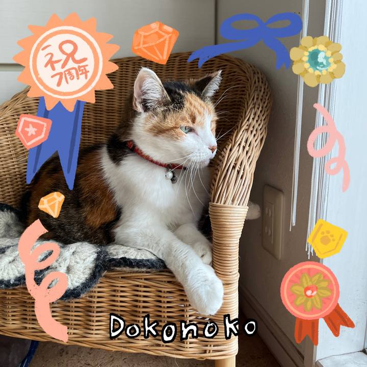 95a65630 c8f7 4718 91e4 e30aa876543a 1686003561639