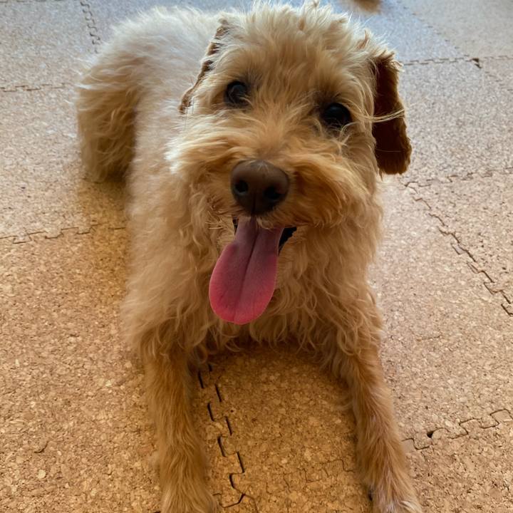 95a68cad dc28 46bc 8f90 4bf75da1b07d 1652577487574