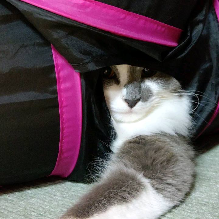 95a6b882 ac55 4b2b 9525 f8547cb58d15 1611471664347