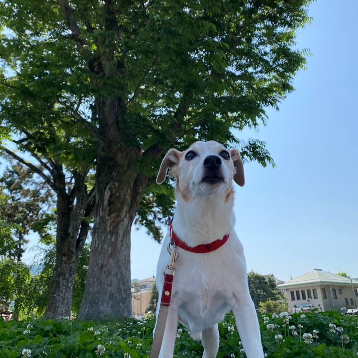 95a6f619 f771 4c2b 829c cd90e703d1d8 1684307873672