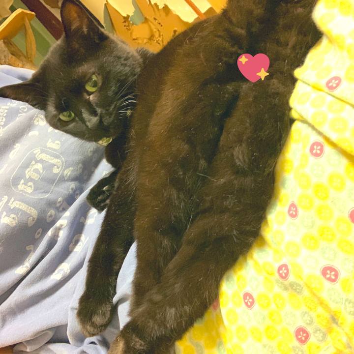 95a70470 64b4 4971 bebc 6f2642903797 1560001365311