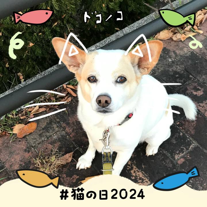 95a76429 d578 4a10 9b93 b0bffec7ed06 1708604528922