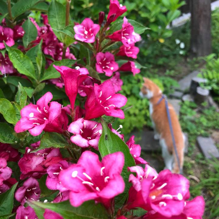 95a7775f ff2b 46b1 850a 3f6a49a3750b 1559566170116