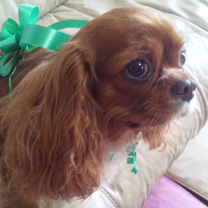 95a7d43c d6fd 443b 84bc 96340e543d3e 1524661285785