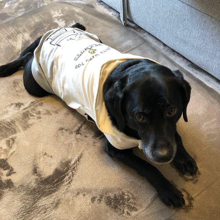 95a7d5b4 fdd5 4019 93d6 562794b7329a 1552436788754