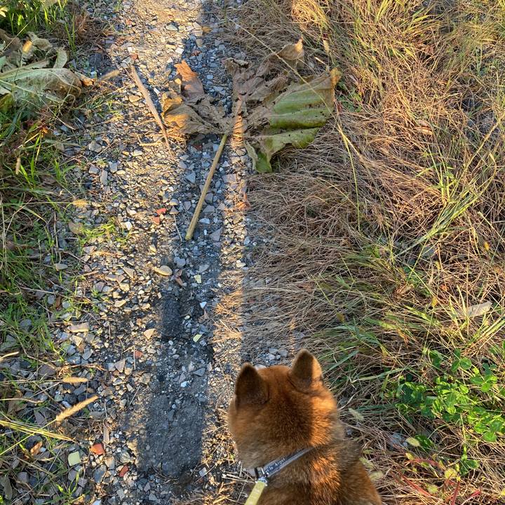 95a7dcb7 160b 4241 9fd7 e209e5eeecd9 1700465906060