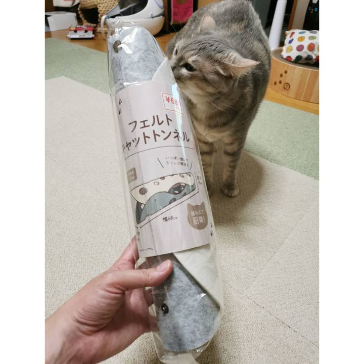 95a7f43e e888 484b 85c6 6d8e736d2699 1684160096908