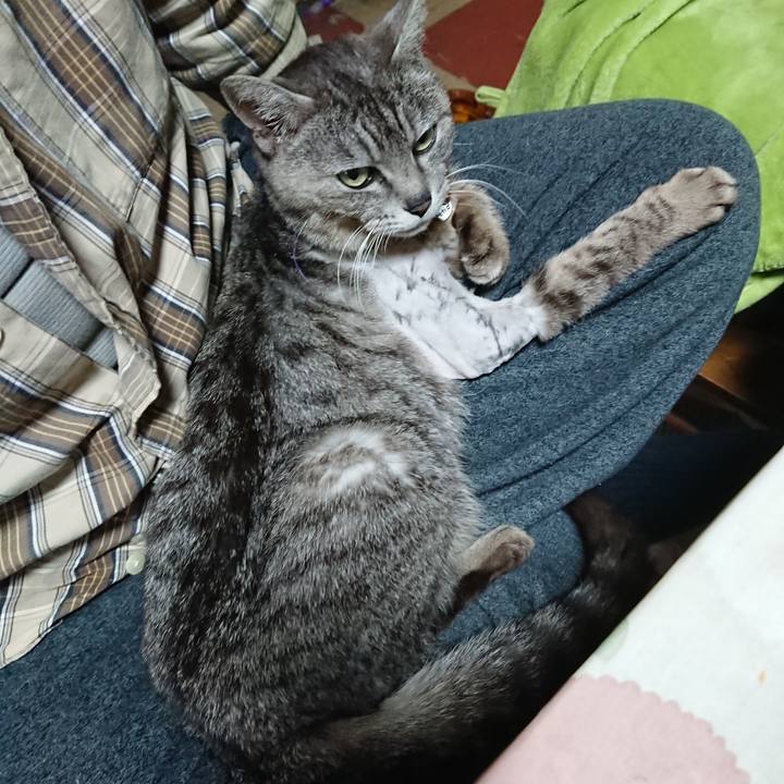 95a806ac 0a13 42c8 92b8 740540ec584a 1589081661359