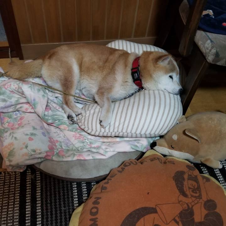 95a833c4 1310 4bd9 b12e 071ef3870191 1719397302891