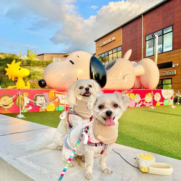 95a87f8d 5b83 4d32 b735 01abb53e1d95 1627204572366