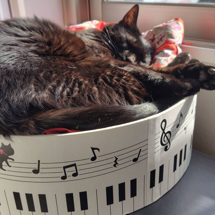 95a8aa04 defe 4d8f 909e 96a9dac08f24 1770265475997