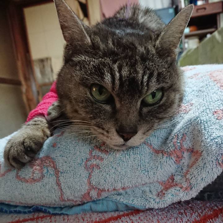 95a8c52d 506d 4f27 a66f d96087db39ab 1586593401983