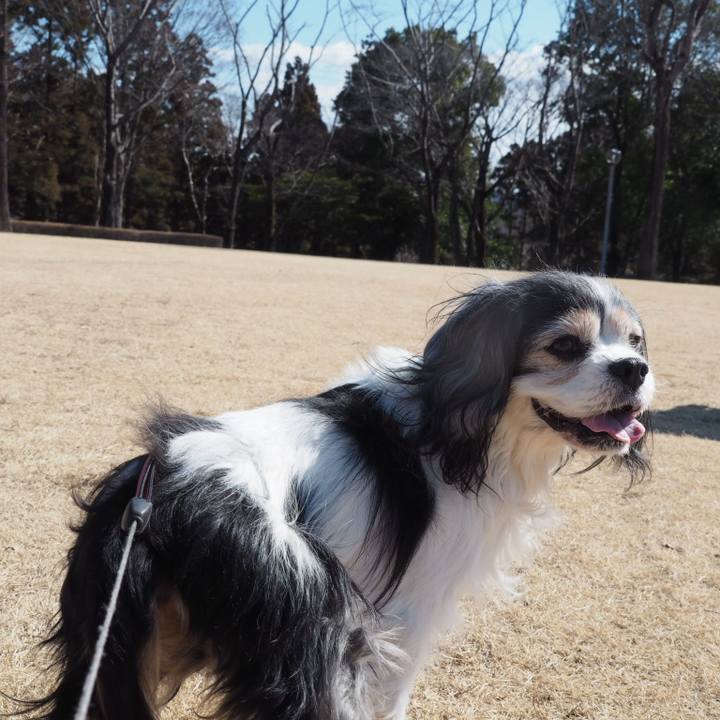 95a8c9ac e270 4ec1 94d3 d0b2e2613786 1550487698550