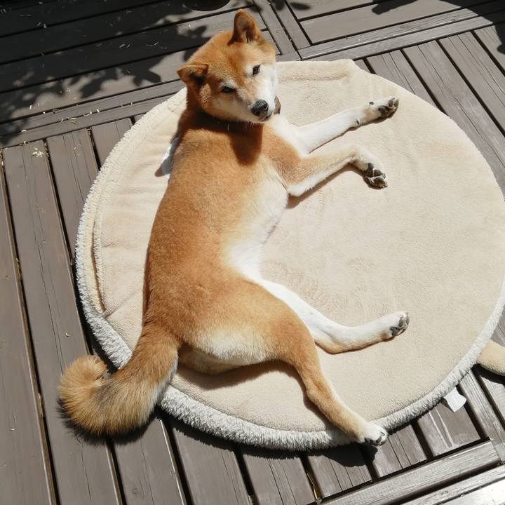 95a8ce20 9647 4ed9 bd27 c51e9415d7cc 1683775967604