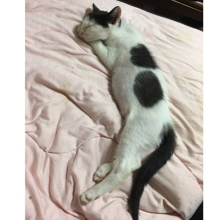 95a8fd0a 79f4 4d0d 8394 e83e3cc13ea7 1530639557205