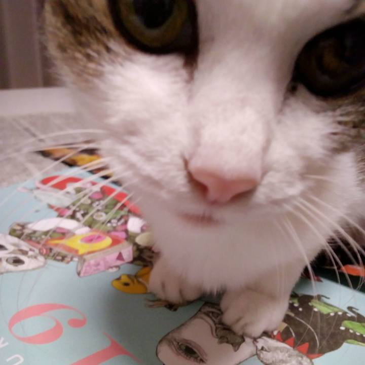 95a923bd 2b22 4999 a67a 5fe6e1505e03 1546164918519