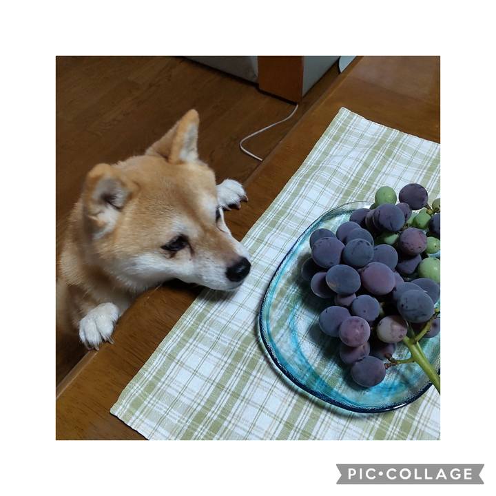 95a958eb b94e 4d4e 862b 87b0c1b10c76 1756516970774