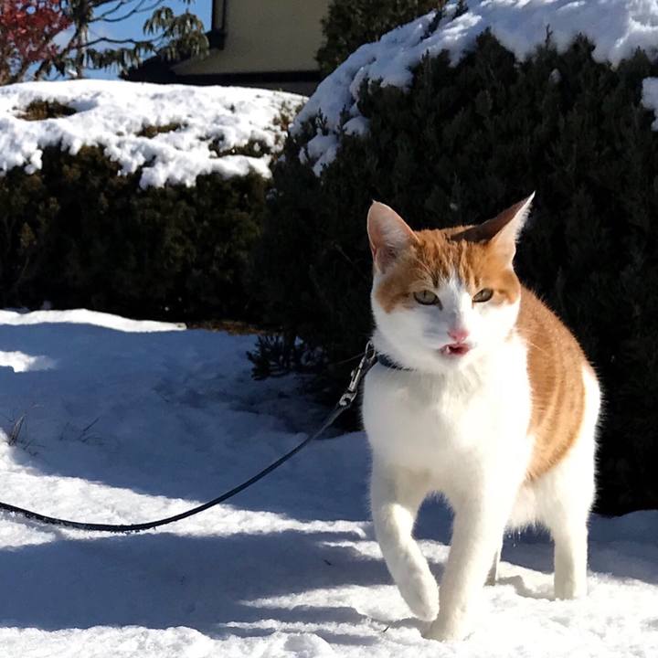 95a9aff7 f307 4772 aa0e a899e4e8ce8c 1515038628308