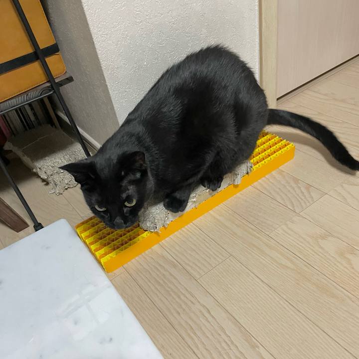 95a9fcd2 8608 4cf9 b3ef f712e57cfcf1 1661951946637