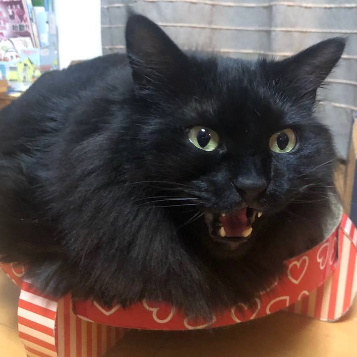 95aa079d d416 4eed 9588 01afd1a1fc14 1551612703535