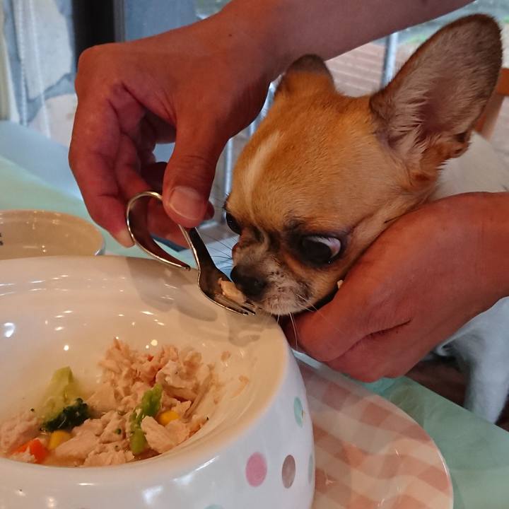 95aa40b3 e0da 43cf 917f adc6fc7b70b0 1566125008658