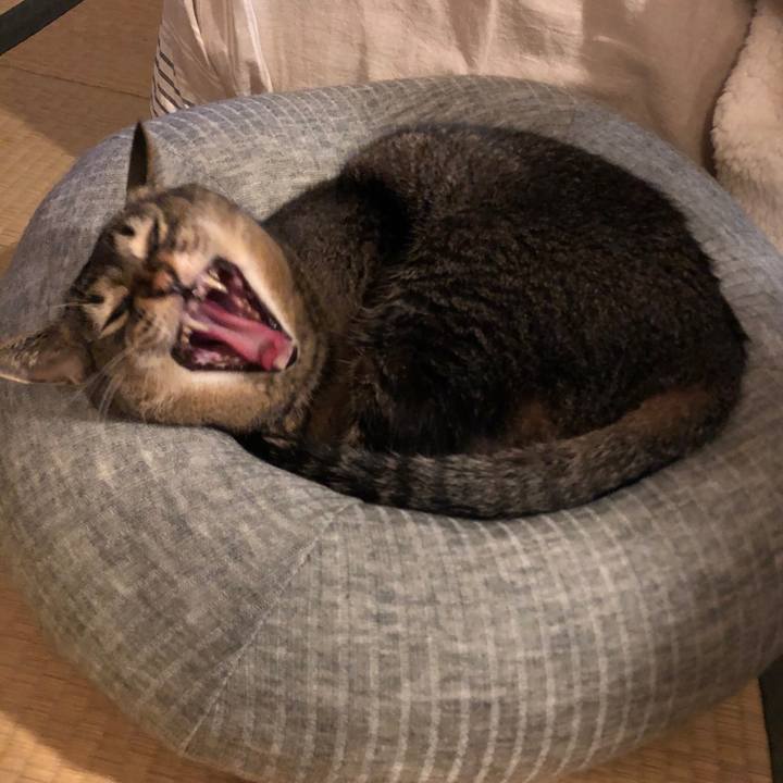 95aa434a 43ab 485f a2e1 5a2ae77c03b1 1603329347346