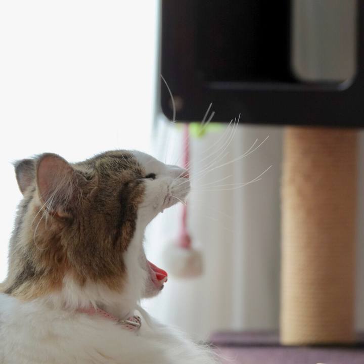 95aa4eeb 2e87 4b5c afc4 1e58341d35da 1568946118822