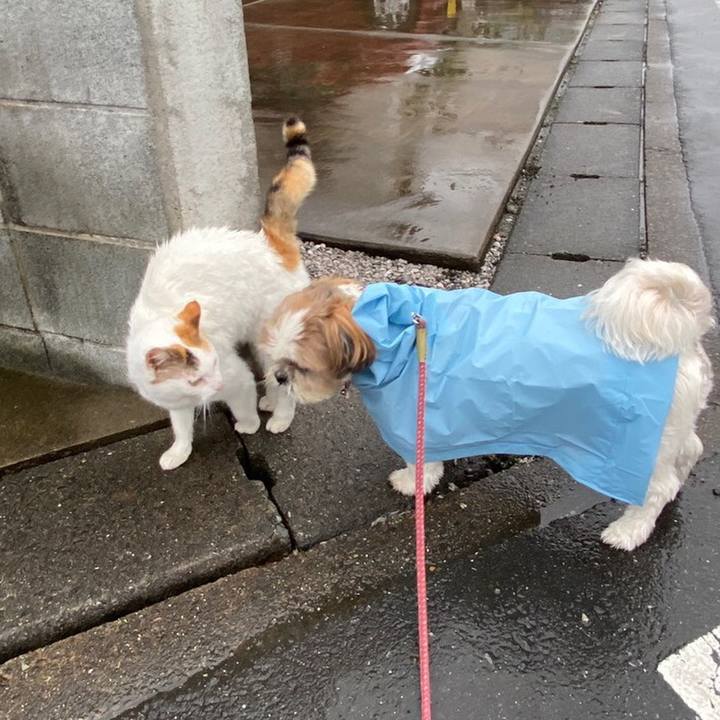 95aa6bda 43b6 4d26 b867 b6378a92d3c3 1590052566477