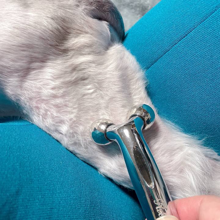 95aa7039 7ef1 4cf1 b976 8187f8c4848c 1766228136125