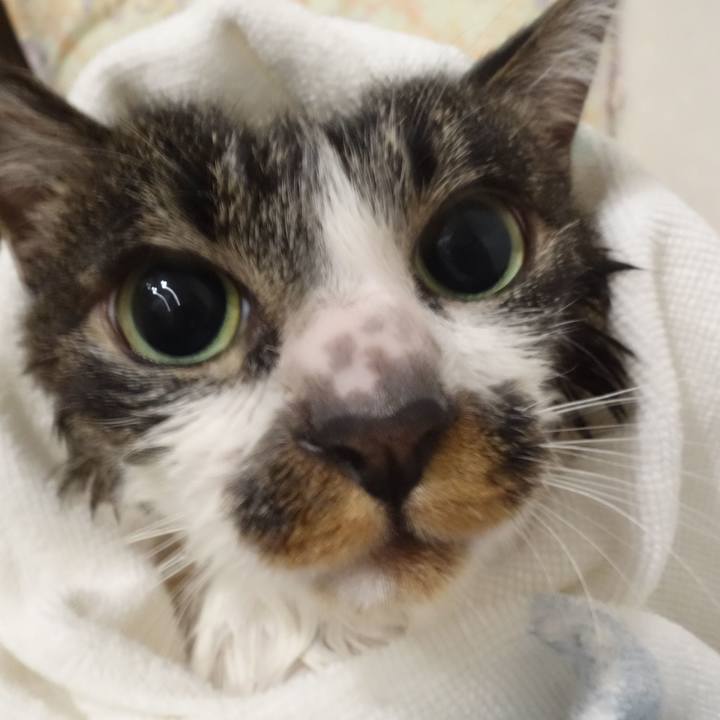 95aa7b60 f17a 47f2 8579 1689d4fe7fdf 1763821881759